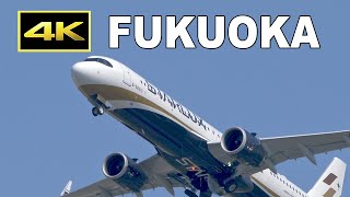 [4K] Starlux Airbus A321 and A330 at Fukuoka Airport / 福岡空港 / Fairport