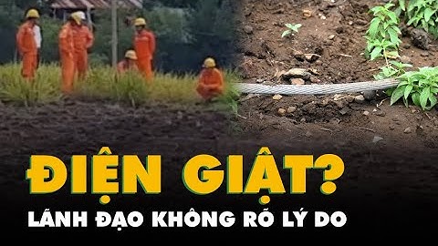 Nghi điện giật chết 1 công nhân, lãnh đạo điện lực 