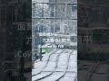 面影橋から　/六文銭　【カバー】　FJB #cover