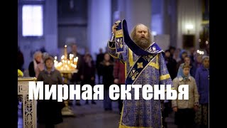 Погружение в богослужение. Мирная ектенья.