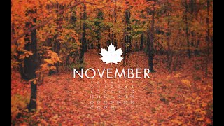 Why is November HATED?