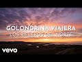 Los Rieleros Del Norte - Golondrina Viajera (Visualizer)