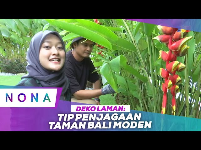 NONA | Deko Laman: Tip Penjagaan Taman Bali Moden class=