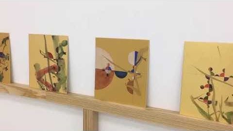 Gabriel Orozco at White Cube Hong Kong