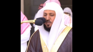 تلاوة مرئية | ما تيسر من سورة الليل | الشيخ #ماهر_المعيقلي