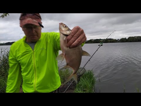 catch and release