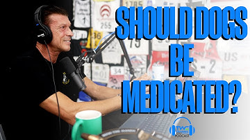 SHOULD DOGS BE MEDICATED? || Ivan Balabanov and Aimee Sadler on the TWC Podcast