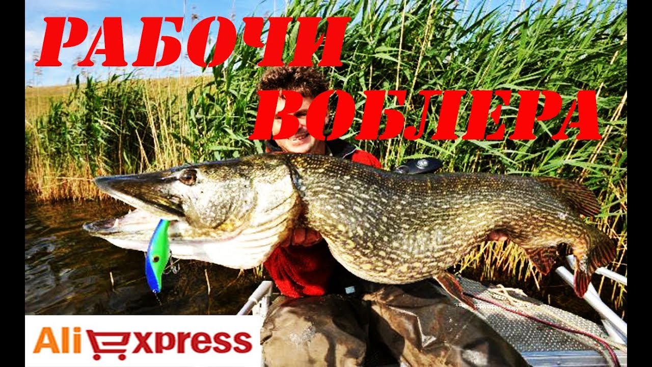 Aлиэкспресс рыбалка Топ 5 воблеров с алиэкспресс на щуку и окуня до 60 рублей 2018