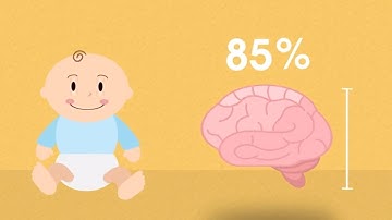 What is DHA and Why is it Important? | Enfamil Canada