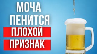 Пенится моча. Почему это происходит. Как распознать заболевание.