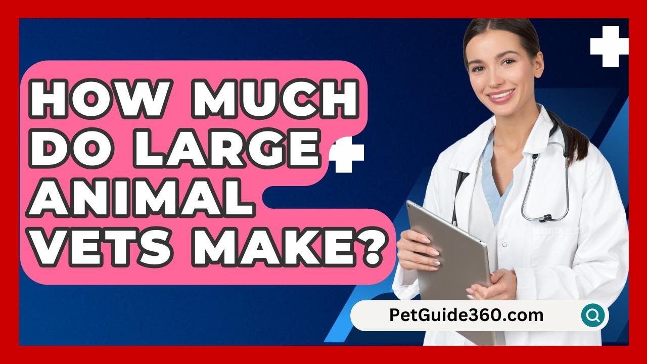 How Much Do Large Animal Vets Make PetGuide360 YouTube How Much Do Large Animal Vets Make PetGuide360 YouTube