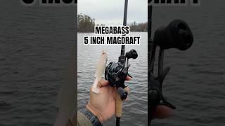 @MegabassAmerica 5 inch Magdraft on the hunt for spring bass. #bassfishing #megabass #fishing