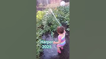 Thumbnail of WATERFALLS #tlc #hiphop #harper #2025