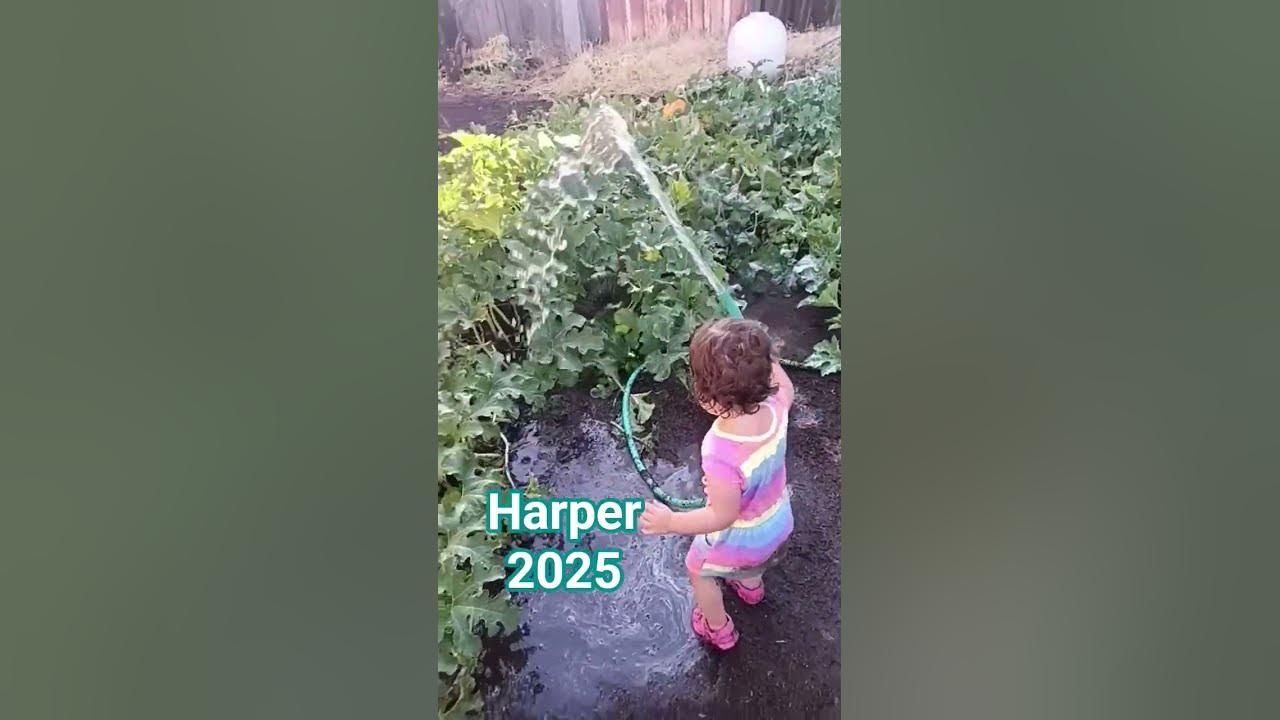 WATERFALLS #tlc #hiphop #harper #2025