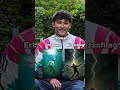 Was tötet mehr Menschen im Jahr🤔