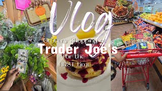 Vlog  │ My FIRST Time Shopping at Trader Joe's On a $100 Budget , @EatWitZo Breakfast Recipe