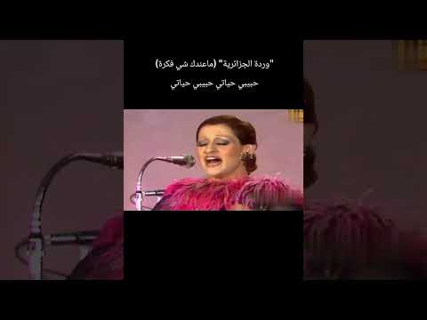 وردة الجزائرية ماعندك شي فكرة حبيبي حياتي حبيبي حياتي