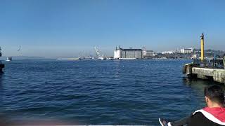Kuş Koysunlar Yoluna Nilgün Marmara