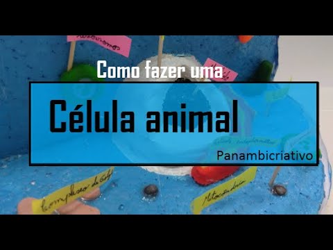 Vídeo: Como você faz um projeto de célula animal?