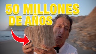 Fuimos a la playa y encontramos unos FÓSILES PREHISTÓRICOS!!