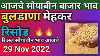 29 Nov | रिसोड मेहकर बुळढणा सोयाबीन बाजार भाव आजचे | soybean bazar bhav today Maharashtra soybean