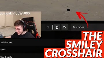SEN ZOMBS New Smiley Valorant Crosshair is Aimbot , Gets 4K Instantly
