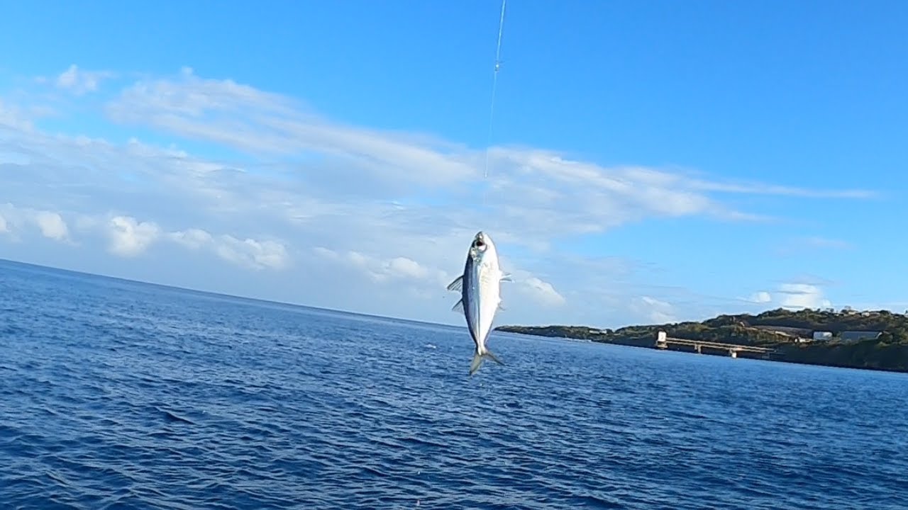 Using Humminbird and Sabiki to catch Goggle Eye bait. YouTube