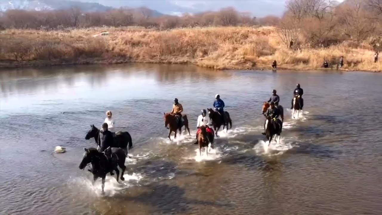 남한강 승마장 외승