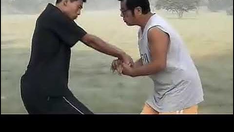 Baguazhang Chinna Joint Lock Applications by Master Xu Shi Xi (Part A)