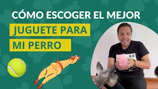 🐶 Cuáles son los mejores juguetes para perro 🎾 PERRHIJOS 🐰 cómo elegir un juguete para mi perro 🐒 by Perrhijos 668 views 9 months ago 24 minutes