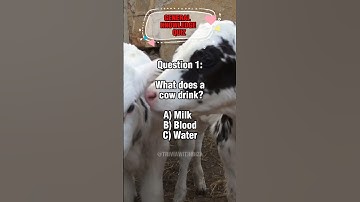 5 general knowledge questions everyone should get RIGHT!#quiz #trivia #quiztime #generalknowledge