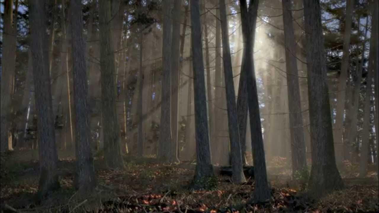 Forest generator blender. Blender forest download. Рендер леса. Forest generator blender. Природа в 3д блендере.