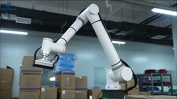 ERA Palletizing Cobot Arm 20KG payload