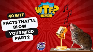 40 Mind-Blowing Facts That&#39;ll Make You Question Everything! | Weird But True | Amazing Facts | PART2