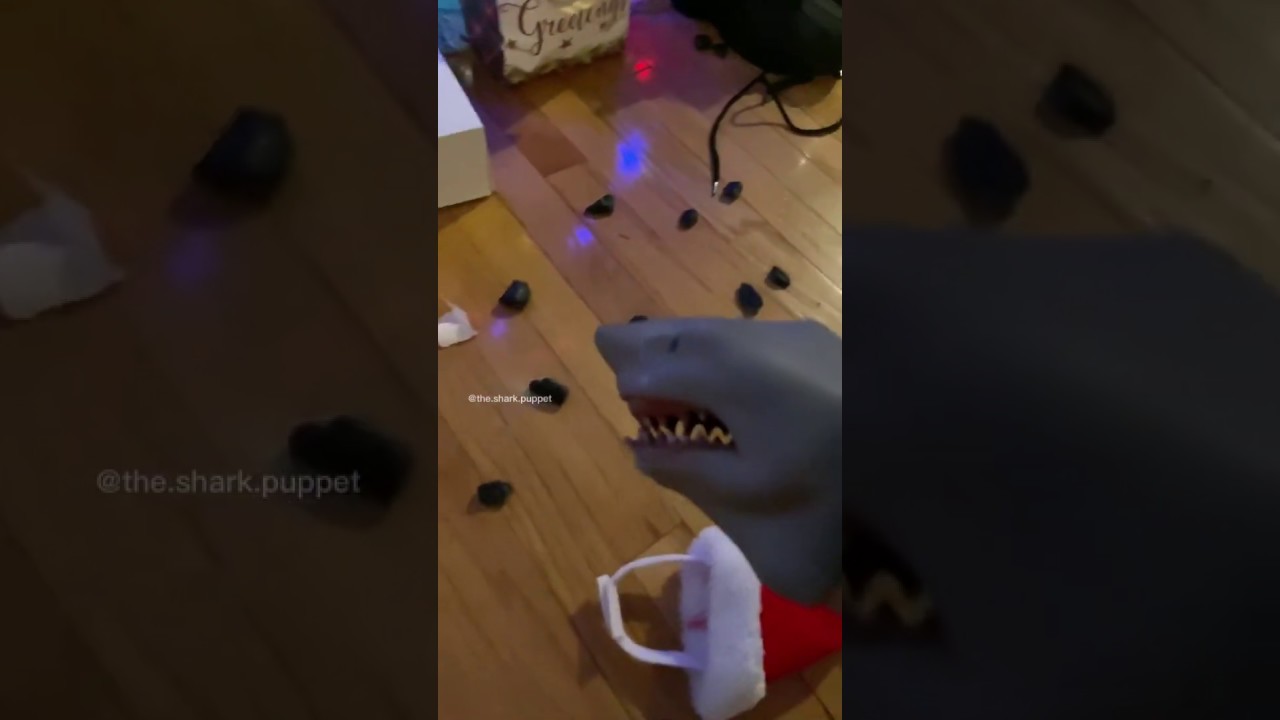 SHARK PUPPET GETS COAL FOR CHRISTMAS!!!!! - YouTube