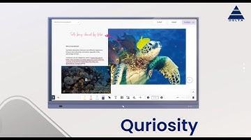 Cybernetyx Quriosity | Delta IT Network | Industry