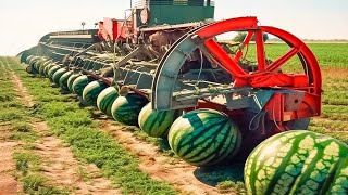 : Amazing Agriculture Machines Operating At An INSANE LEVEL