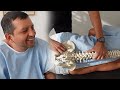 Severe Back Pain from Truck Accident Helped! Part 2 Dr. Rahim