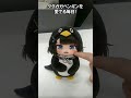 毎日ググガガペンギンを愛でる生活、、！最高、、！