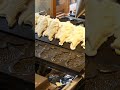 ず〜っと見てられるタイヤキが出来るまで 🥞 #shorts