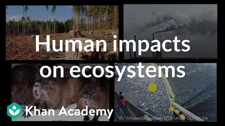 Human impacts on ecosystems | Interactions in ecosystems | High school biology | Khan Academy - DayDayNews