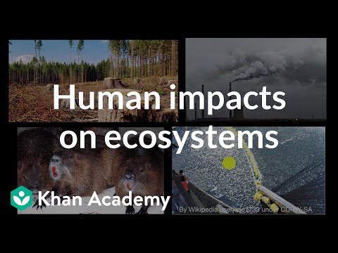 Human impacts on ecosystems | Interactions in ecosystems | High school biology | Khan Academy