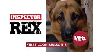 First Look: Inspector Rex (Season 6)