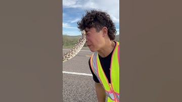 Gopher Snake To The FACE 😂💀