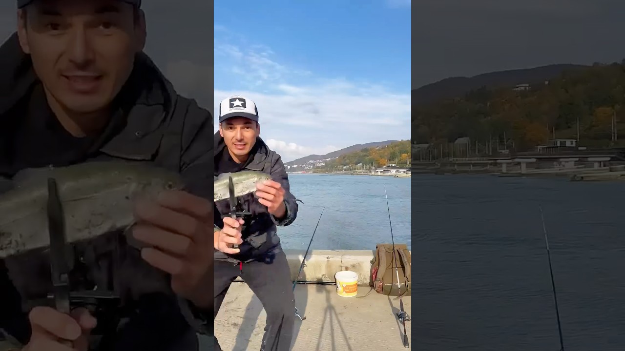 Самая вкусная рыба, самая желанная рыба, беглянка-форель 