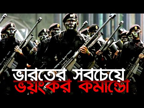 ভিডিও: ইউক্রেনের বিশেষ অপারেশন বাহিনী। প্রথম বছরের ফলাফল