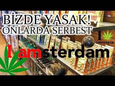AMSTERDAM'DA SERBEST/YASAK OLAN HER ŞEY