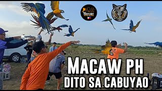 MACAW FLYER PH DUMAYO DITO SA CABUYAO | FREEFLIGHT