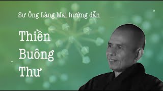 Thiền Buông Thư - Sư Ông Làng Mai hướng dẫn - 10/03/1994
