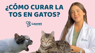 MI GATO TIENE TOS | Causas y Tratamiento  Lauvet